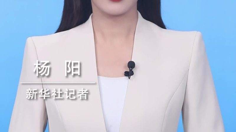 SaaS平台：未来企业数字化转型的新引擎